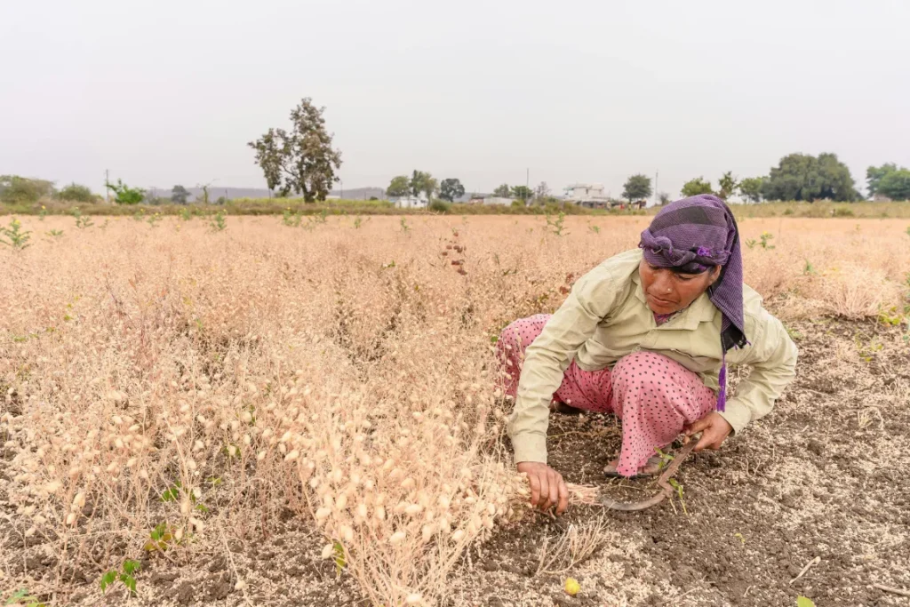 Un agricoltore che coltiva su un terreno in una situazione di completa privazione di acqua.