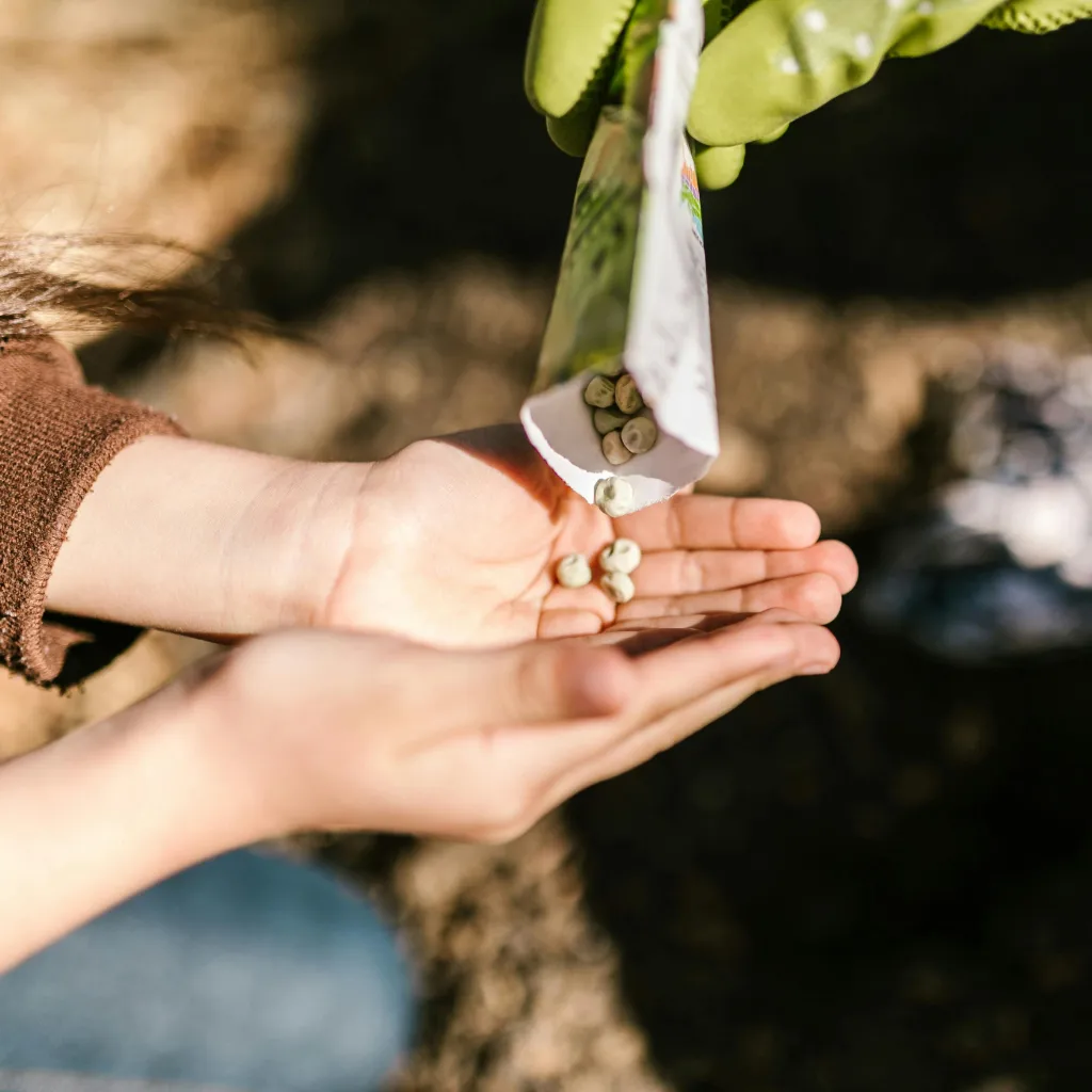 Foto di mano di bambino o bambina che prende in mano dei semi da piantare negli orti didattici