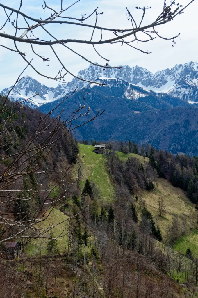 Un paesaggio di montagna con in lontananza una malga circondata da terreni coltivati in modo da favorire la biodiversità.