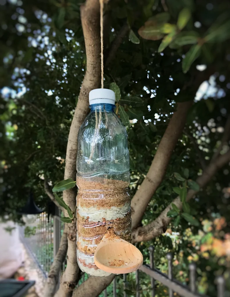 Mangiatoie fatte con bottiglie di plastica e appese al ramo di un albero.